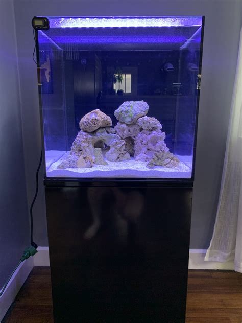 Cube Build New 40 Gallon Cube Reef2reef Saltwater And Reef Aquarium
