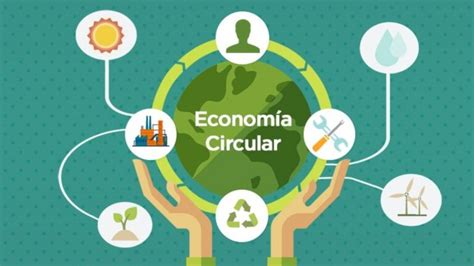 Qué es la economía circular características e importancia Renovables Verdes