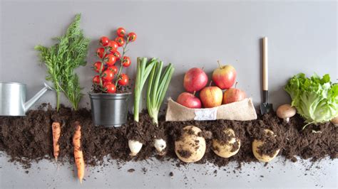 I always visit local markets and grocery stores to hunt unusual produce and. The Benefits of Growing Your Own Fruits and Vegetables
