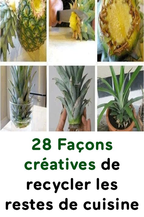 Observez simplement si votre plante possède des aréoles. 28 Façons créatives de recycler les restes de cuisine ...