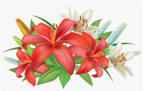 Banner Library Easter Lily Clipart Lily Flower Clip Art 5000x2958