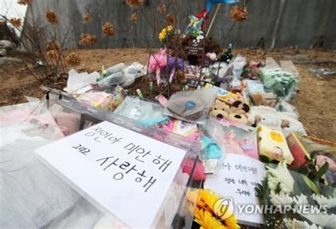 기업 하는 죄로 교도소 담장 위에서 살아야 하는 대한민국. 정인이 사건 계기로 입양절차 공공성 강화 여론 고조 | 한경닷컴