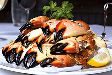 Truluck's Seafood Steak and Crab - La Jolla: San Diego Restaurants