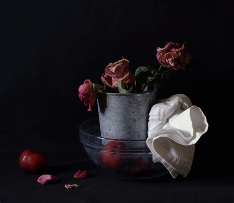 Still Life With Roses By Patri Ephotozine