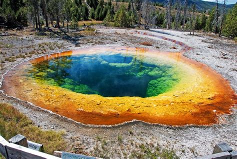 Morning Glory Pool Yellowstone National Park Rainbow Pools National