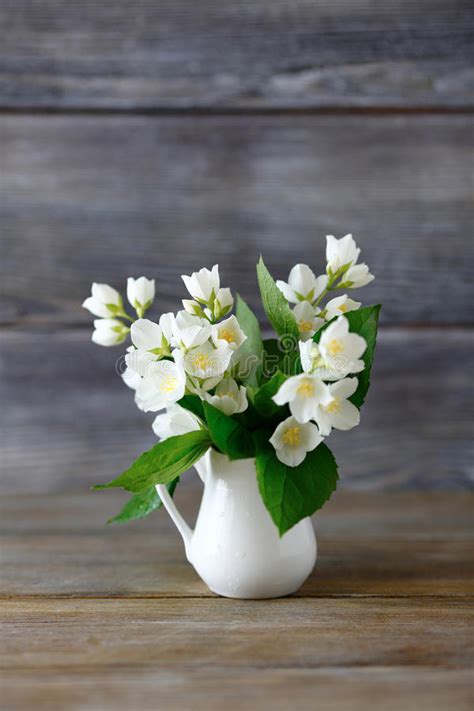 Fiori scarica questo foto premium su fiori bianchi in vaso e scopri oltre 9 milioni di foto d'archivio. Grande Vecchio Vaso Ceramico Con I Vari Fiori Isolati Su Fondo Bianco Immagine Stock - Immagine ...