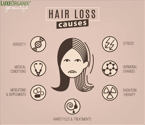 The Truth About Hair Loss Luxeorganix Healthy Hair And Skin Care
