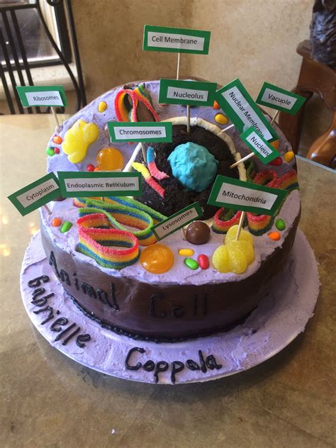 Animal Cell Cake Animal Cell Model Project Animal Cell Cell Model
