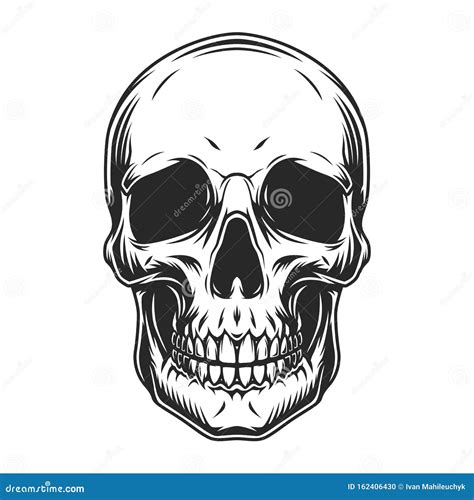 Vintage Human Skull Profile Template Cartoon Vector