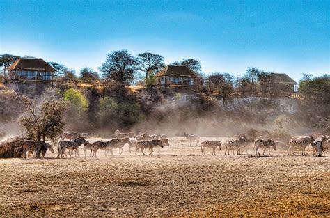 We did not find results for: Botswana Flugsafari | Individuelle Botswana Reise
