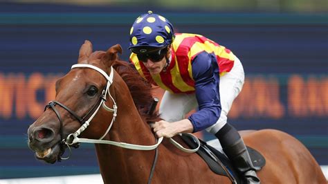 Result And Replay Elephant Wins 2021 Sandown Stakes Au