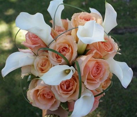 Versilia Rose With Calla Lilys Calla Lillies Flower Delivery Fresh