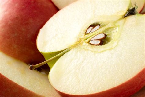 Are Apple Seeds Poisonous