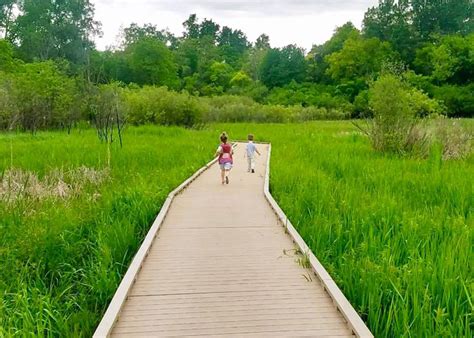Huff Parks Extensive Wetland Boardwalk Is An Easy Nature Escape