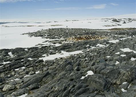 East Antarctic Tundra One Earth