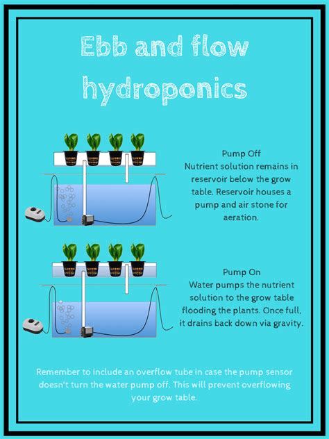 Hydroponic Systems What Are They And How Do They Work The Homestud