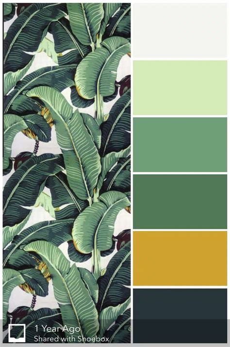 Tropical Leaves Green Colour Palette Room Color Schemes