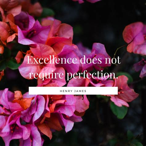 Excellence Does Not Require Perfection Henry James Quotes Photo Biz