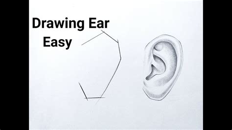 How To Draw Ears Step By Step