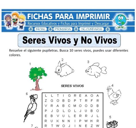 Ciencia Y Ambiente Para Primero De Primaria 28 Fichas Gratis Vivos