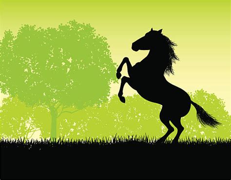 Wild Horse Kicking Illustrations Royalty Free Vector Graphics And Clip