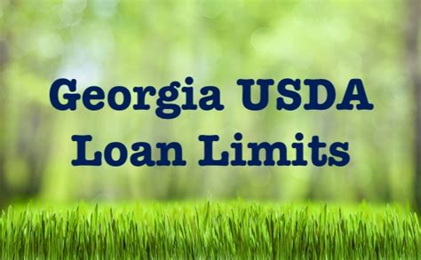 Georgia Usda Loan Limits