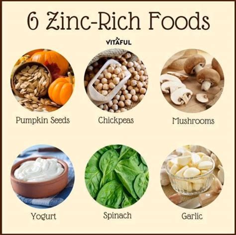 Zinc Rich Foods Chart