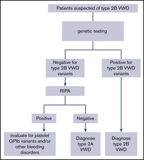 Updated Guidelines For The Diagnosis Of Von Willebrand Disease Bjh