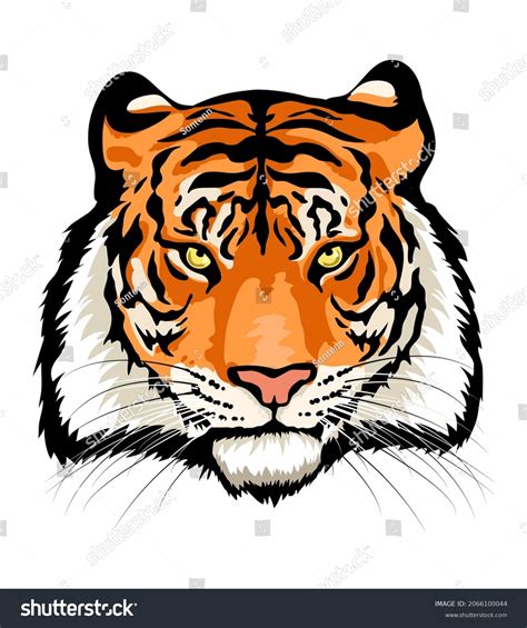 Update More Than 68 Royal Bengal Tiger Sketch Super Hot Seven Edu Vn