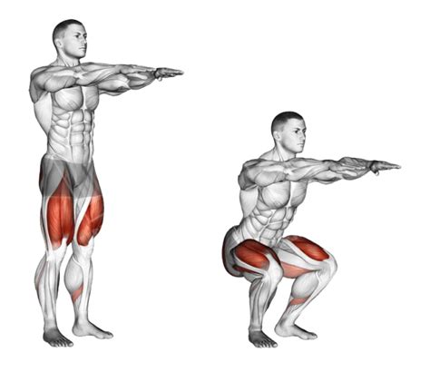 Bodyweight Squats How To Perfect Your Form Now