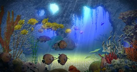 Underwater Paradise Motion Background Storyblocks