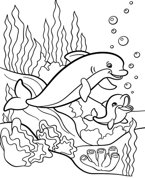Two Dolphins Coloring Page To Print Or Download For Children Dolphin