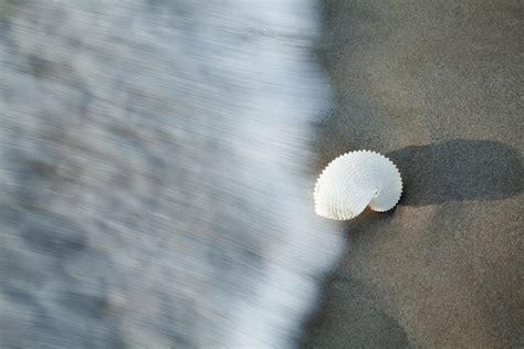 Nautilus Wave Photograph By Sean Davey Fine Art America
