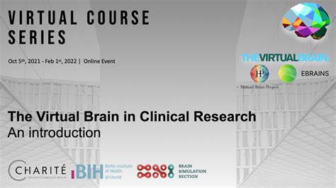 Brain Simulation Section The Virtual Brain In Clinical Research An