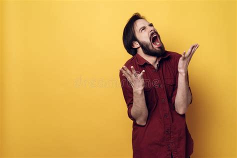 Portrait Of Screaming Frustrated Angry Man Stock Photo Image Of Male