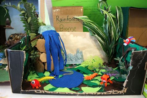 This Fourth Grade Biome Project Represents A Tropical Rainforest This