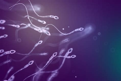 Understanding Semen Analysis Care Fertility