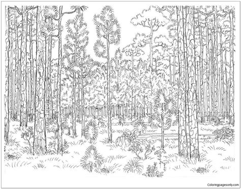 Old Forest Coloring Page Free Coloring Pages Online