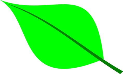 Free Big Leaves Cliparts Download Free Big Leaves Cliparts Png Images