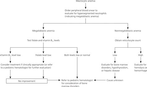Iron Deficiency and Other Types of Anemia in Infants and ...