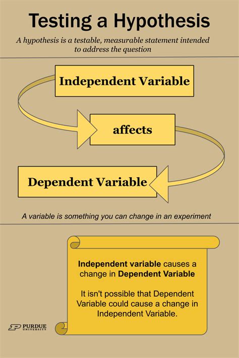 Testing A Hypothesis Determining Dependent And Independent Variables