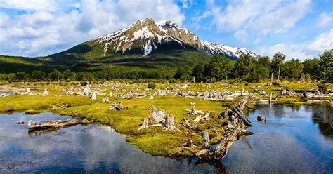 Tierra Del Fuego National Park Travel Guide Latin America For Less