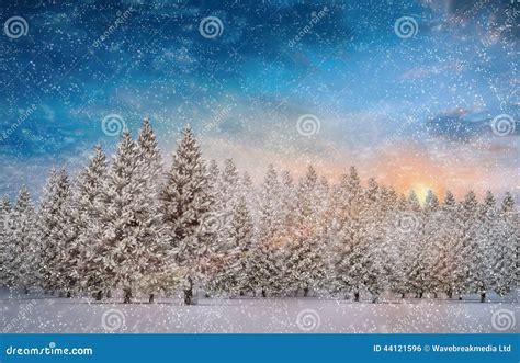 Composite Image Of Fir Trees In Snowy Landscape Stock Illustration