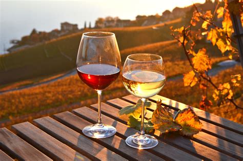 25 Sparkling Wines White And Reds For The Autumn Season Hartford