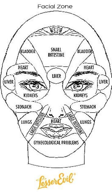 Pressure Points Reflexology Massage Therapy Face Mapping