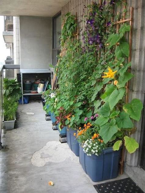 45 Beautiful Container Gardening Ideas Page 29 Of 36