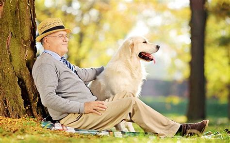 Why A Dog Is A Mans Best Friend Pet Like That Blog