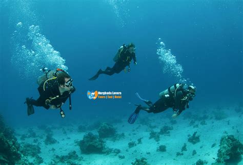 Dive Sites Safaga Scuba Diving Egypt Best Diving Sites In Safaga Map