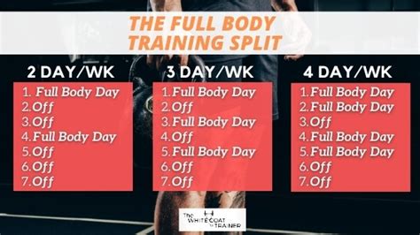 The 3 Best Workout Splits Of All Time 2 3 And 4 Day Templates The White Coat Trainer 2022