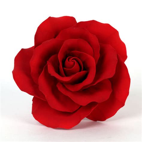 Extra Large Classic Garden Rose Red